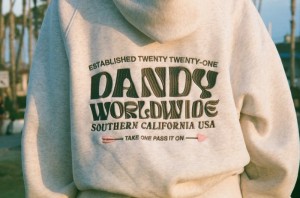 Dandy Heart on My Sleeve Oversized Lux Hoodies Grey | USA EM2-94169E25