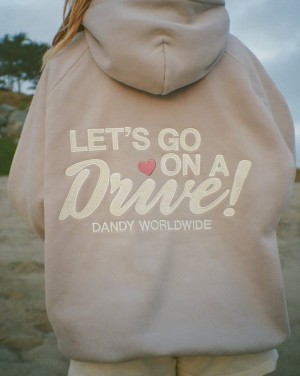 Dandy Let's Go on a Drive Oversized Lux Hoodies Light Grey | USA EM2-94169E32