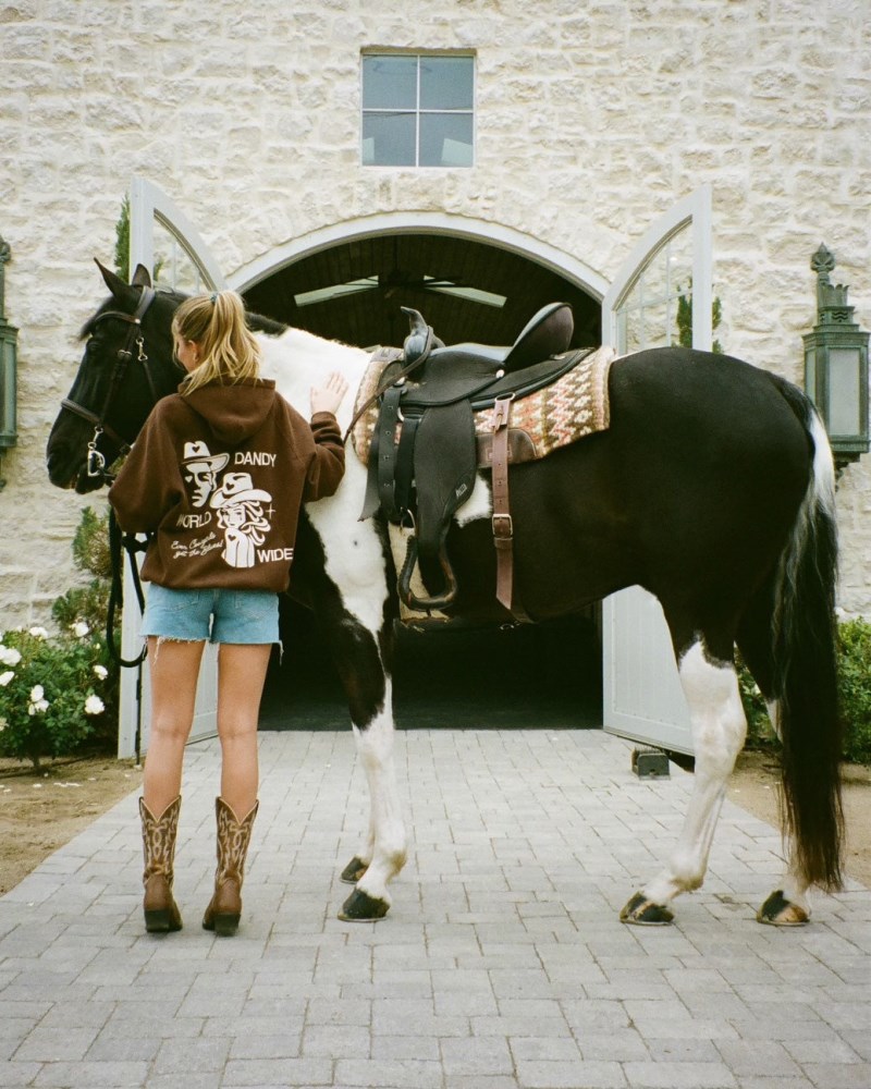 Dandy Cowgirl Oversized Lux Hoodies Brown | USA EM2-94169E14