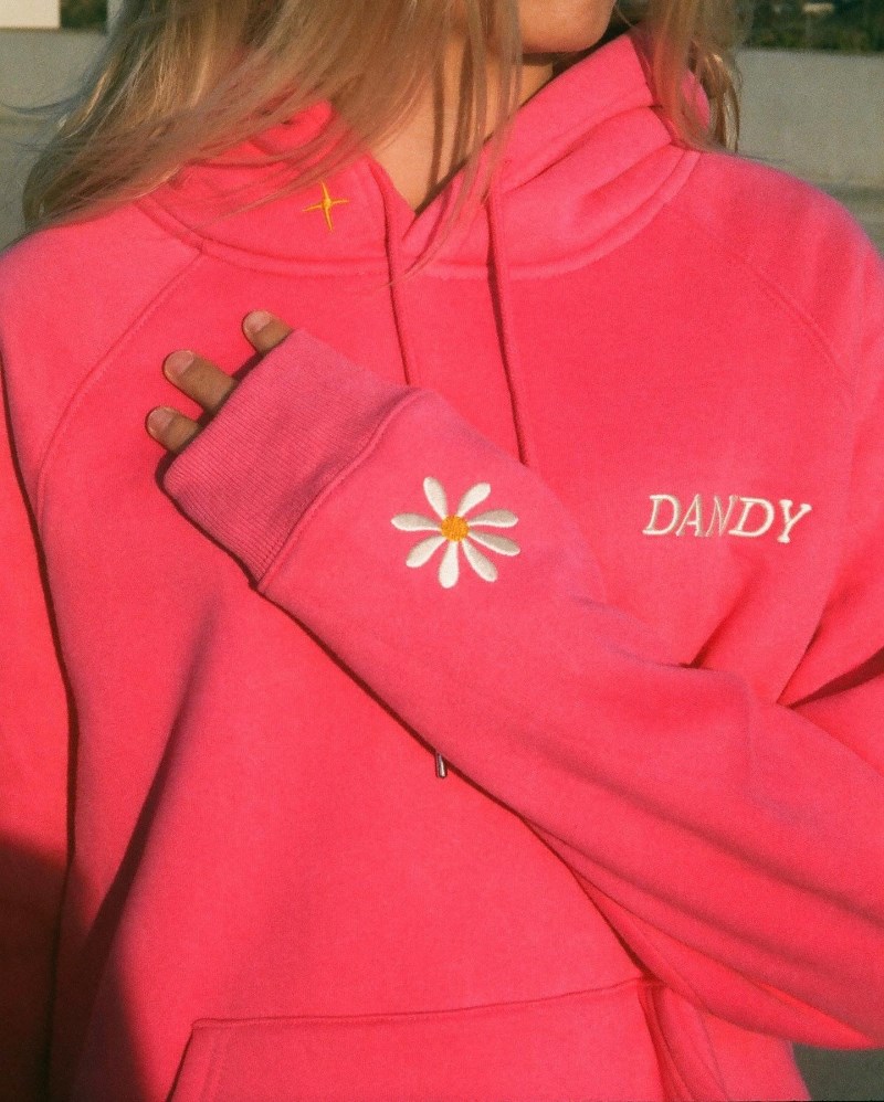 Dandy Physical Touch Oversized Lux Hoodies Pink | USA EM2-94169E46