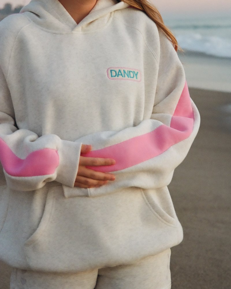 Dandy Pink Stripe Oversized Lux Hoodies White | USA EM2-94169E47